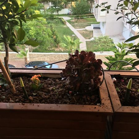Orange Garden Daire Antalya Dış mekan fotoğraf